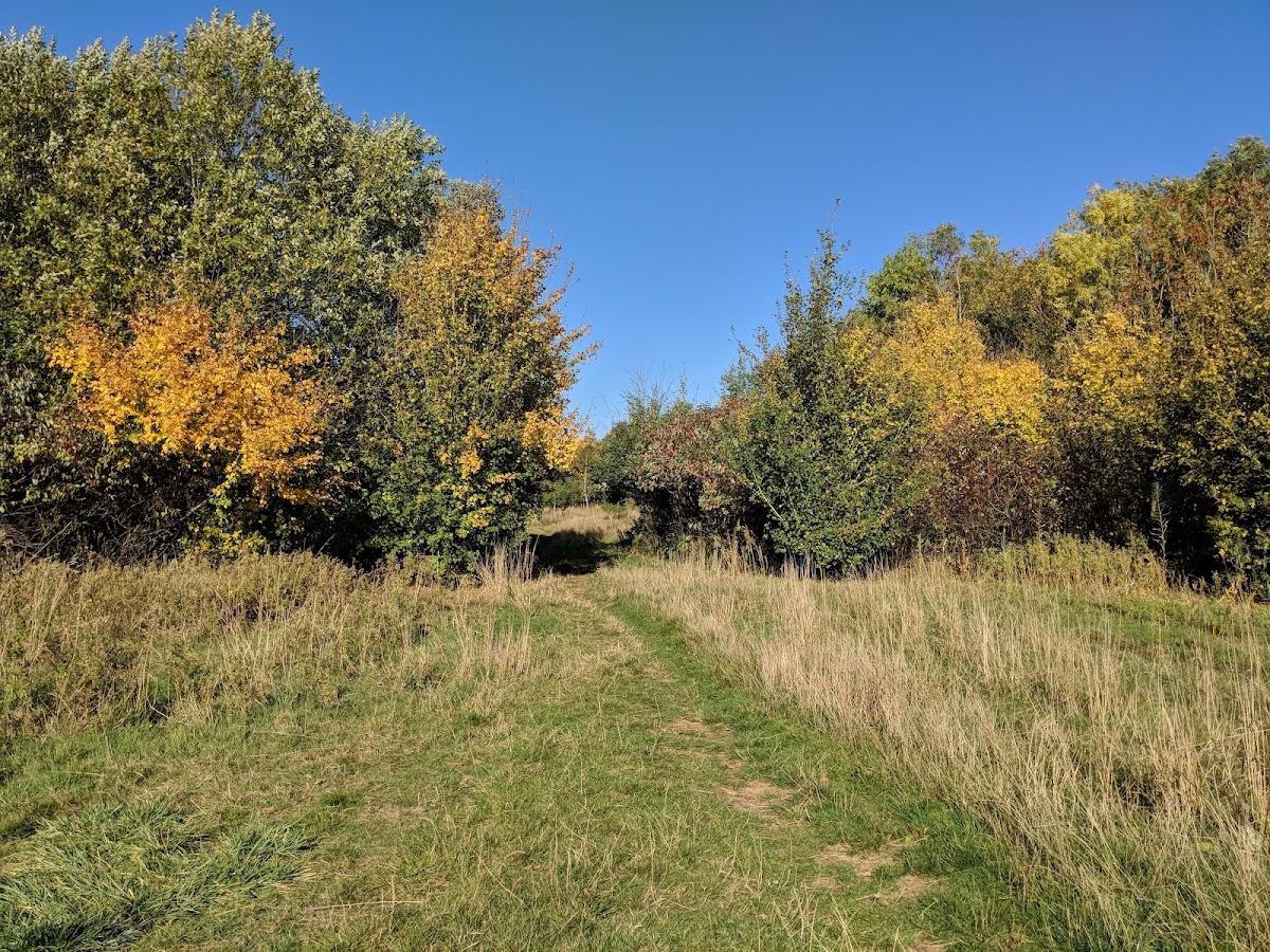 Deer Park Wood
