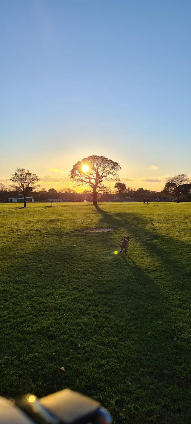 Buckingham Park & Playground