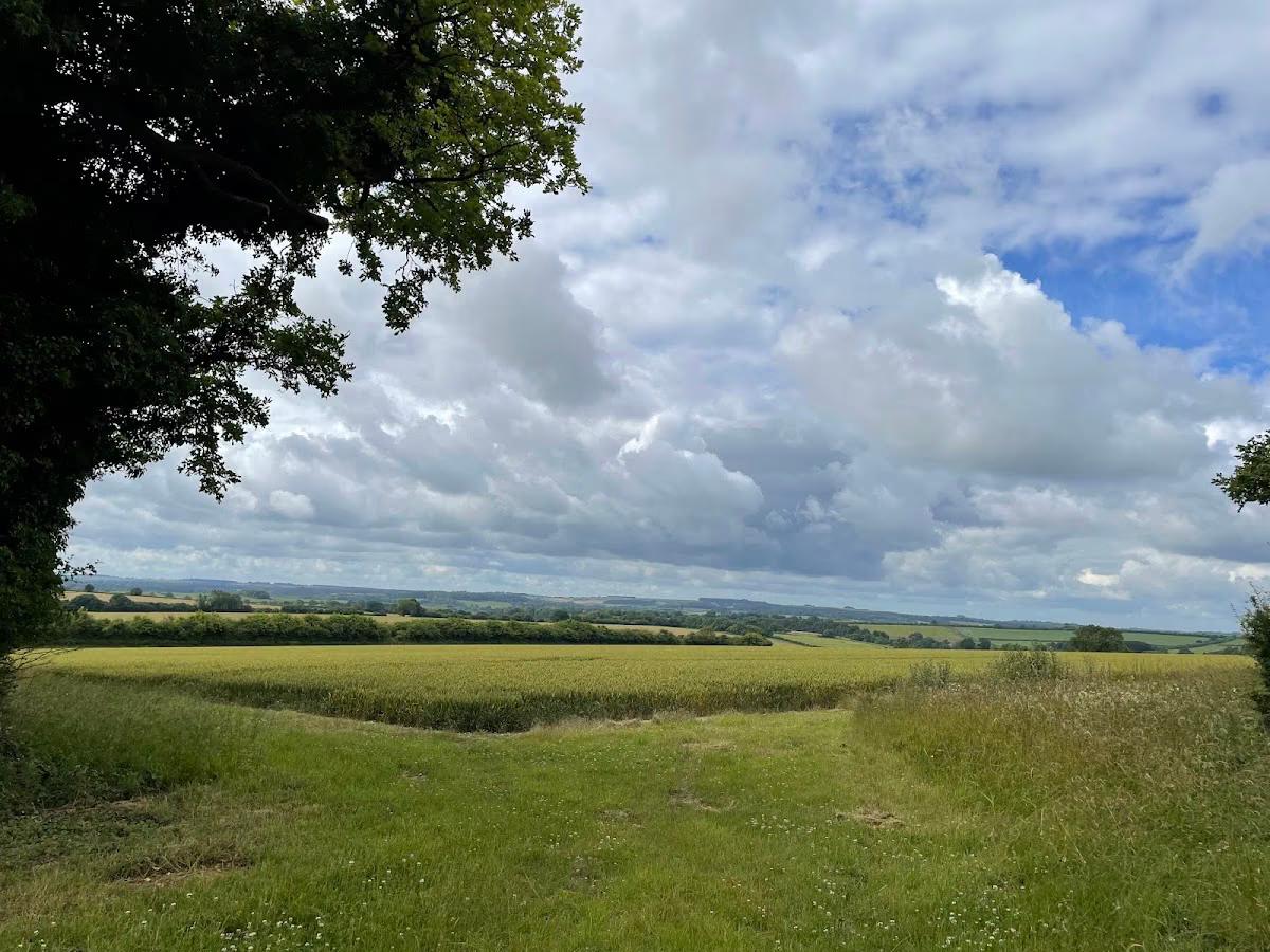 Abbotstone Down