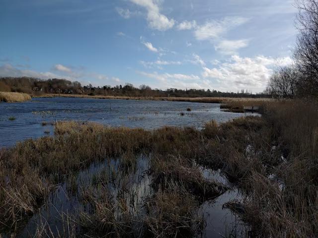 Fishlake Meadows Nature Reserve
