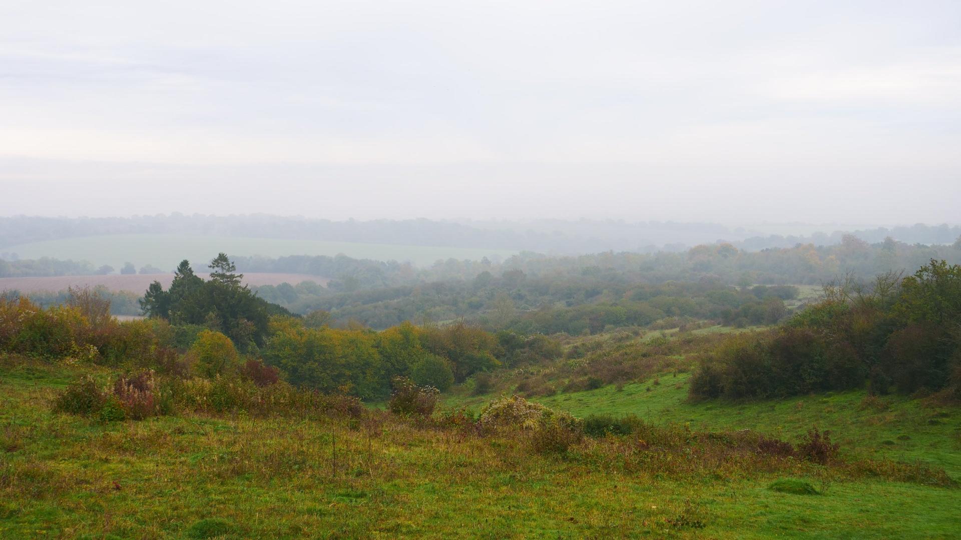 National Trust - Stockbridge Down