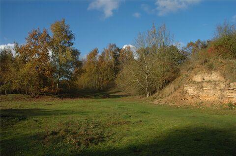 Dry Sandford Pit Nature Reserve