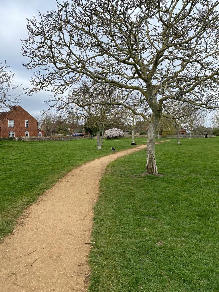Millennium Green