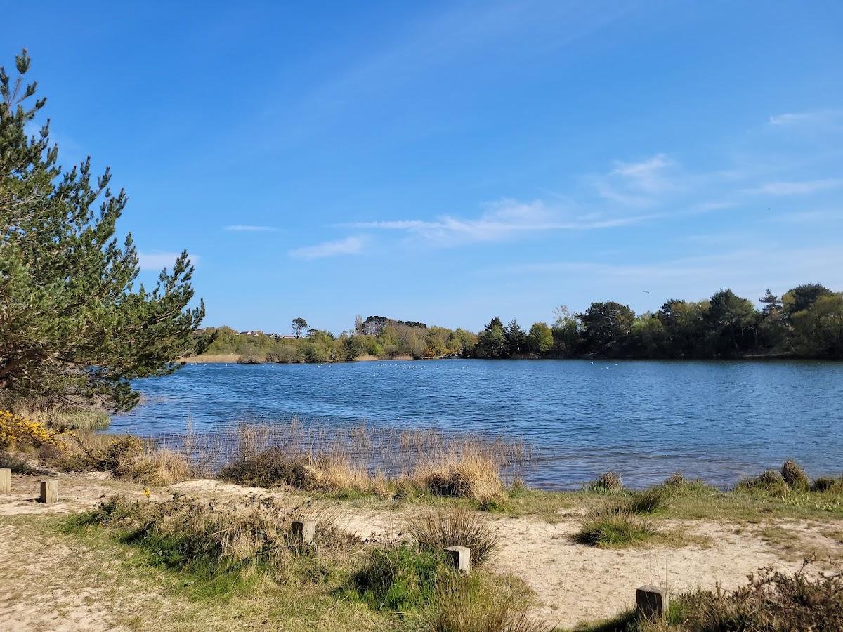 Ham Common