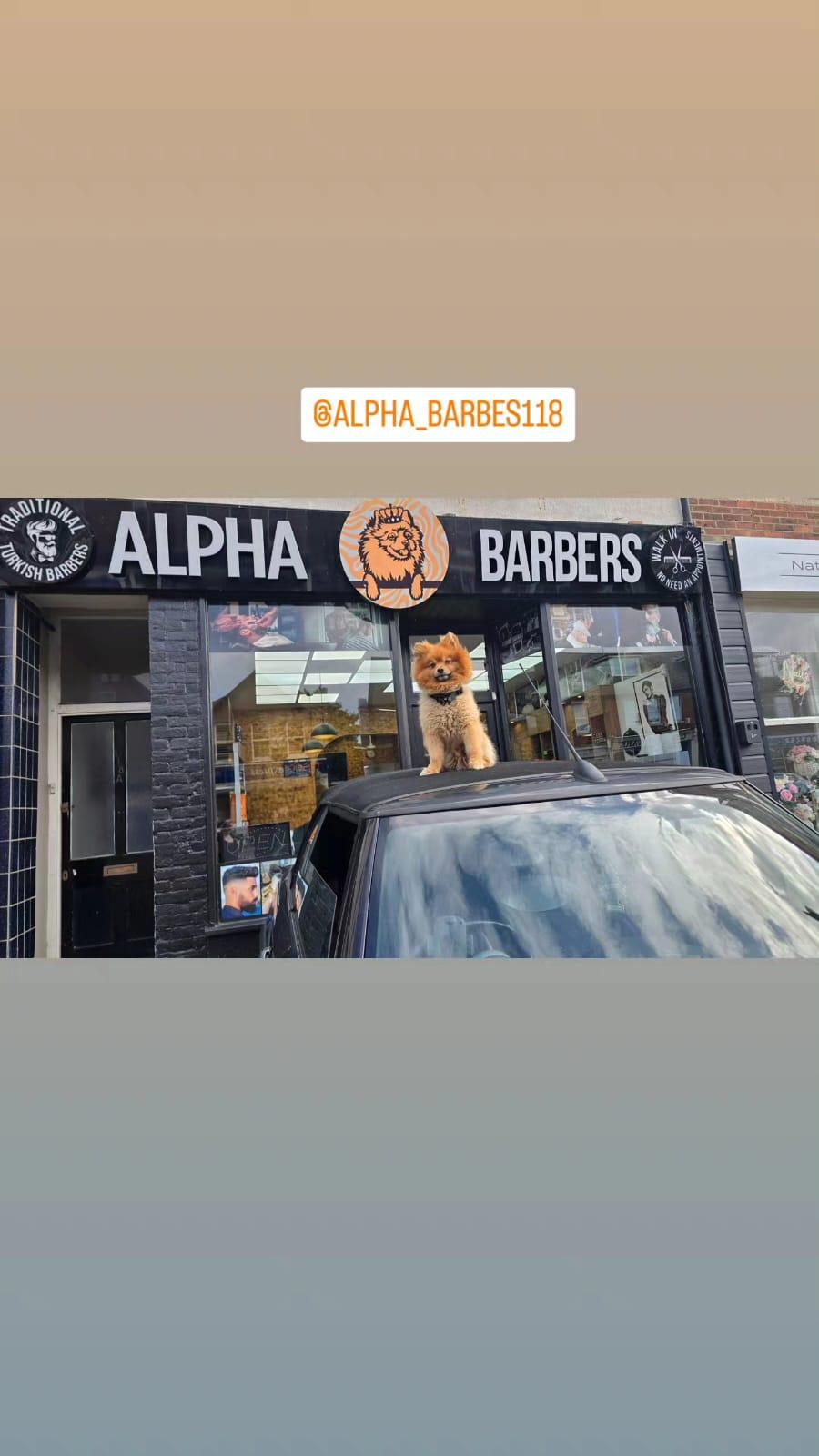 Alpha Barbers