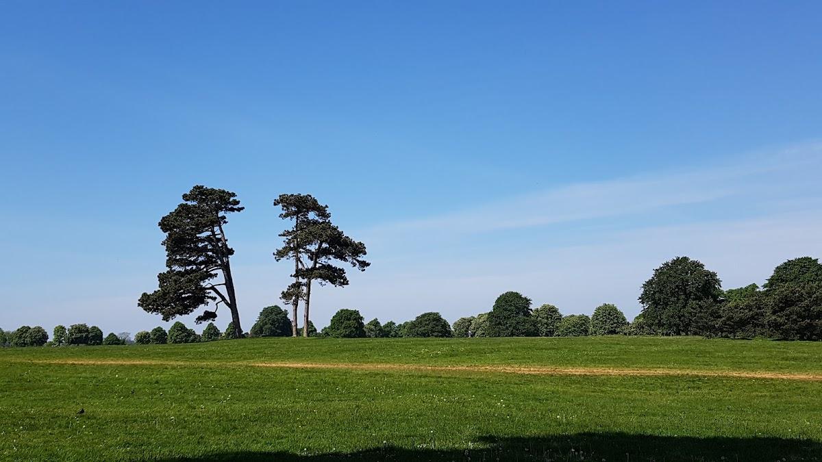 Clifton Down