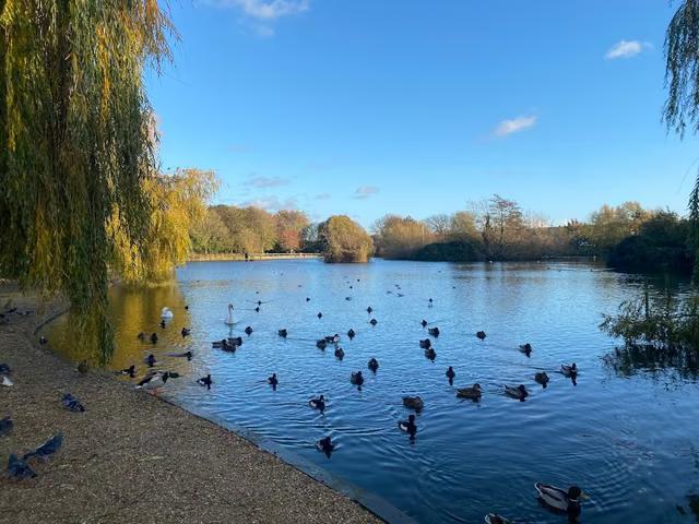 Baffins Pond