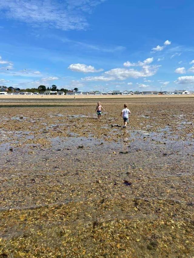 Meon Shore Hide