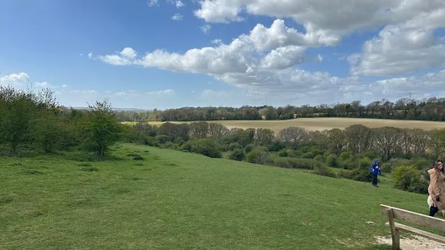Catherington Down
