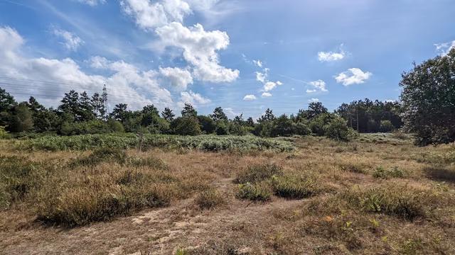 Hazelton Common Nature Reserve