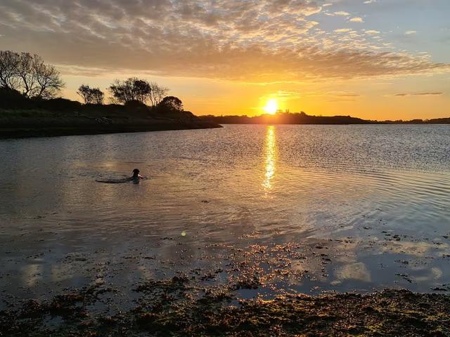 Broadmarsh Coastal Park