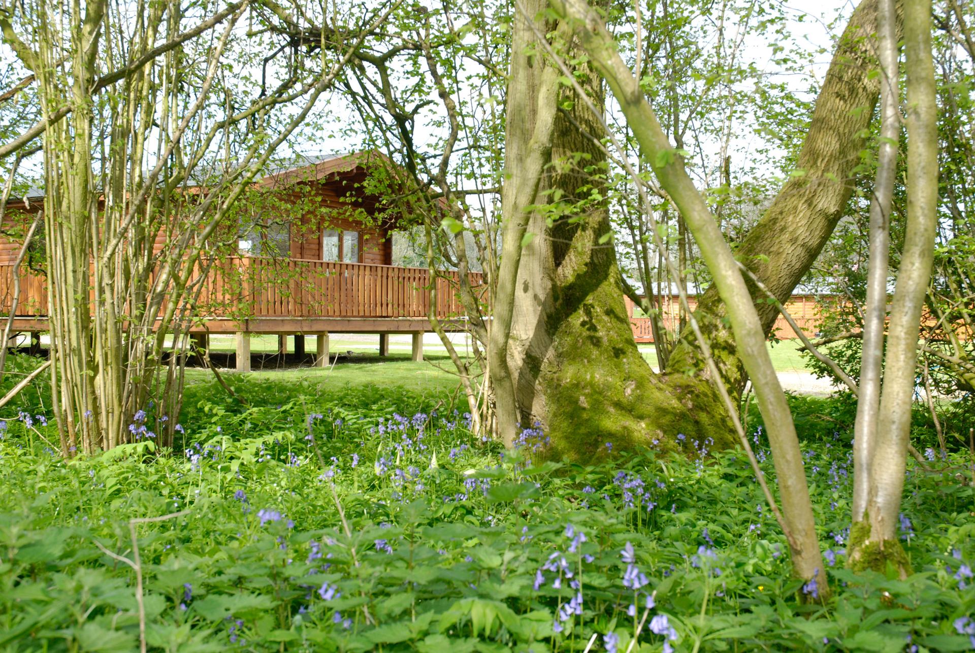 South Winchester Lodges