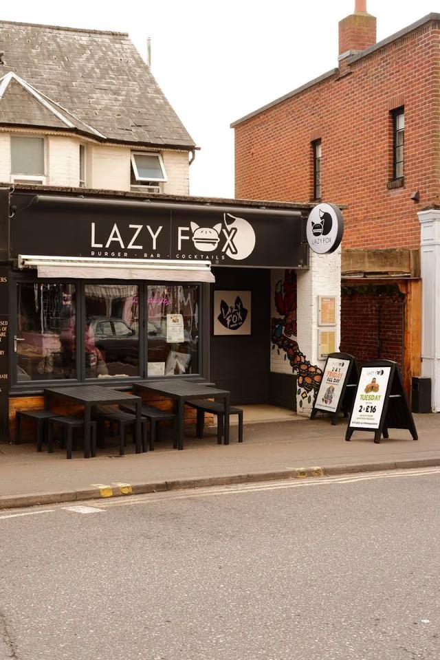 Lazy Fox