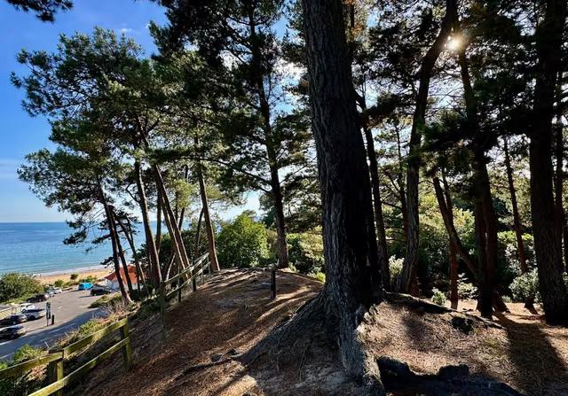 Branksome Dene
