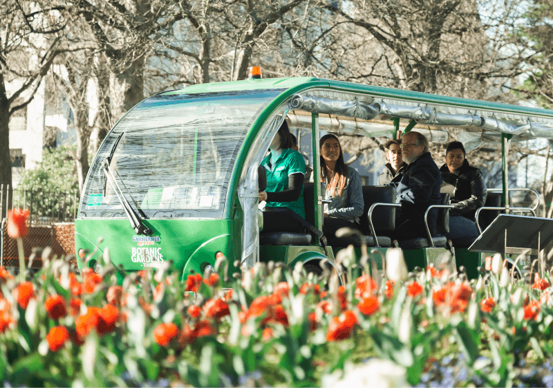Christchurch Botanic Gardens Tour