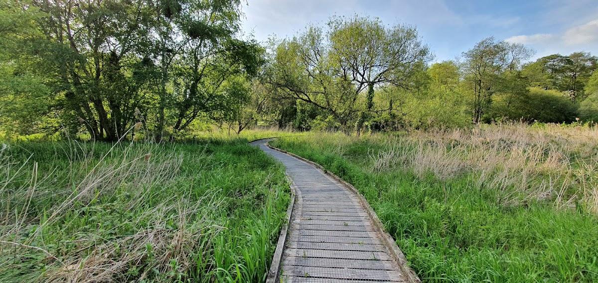 Winnall Moors Nature Reserve