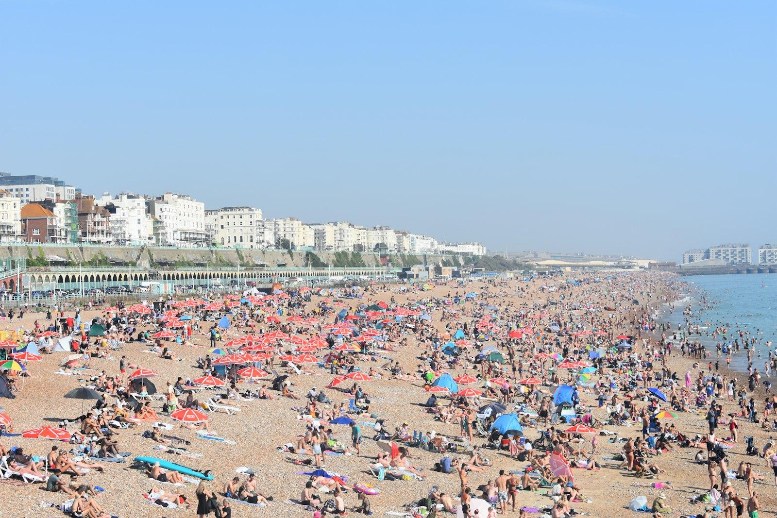 Best Things To Do in Brighton