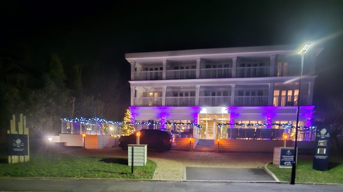 The Fig Tree Shanklin