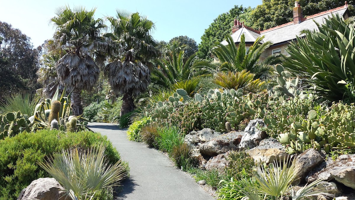 Ventnor Botanic Garden