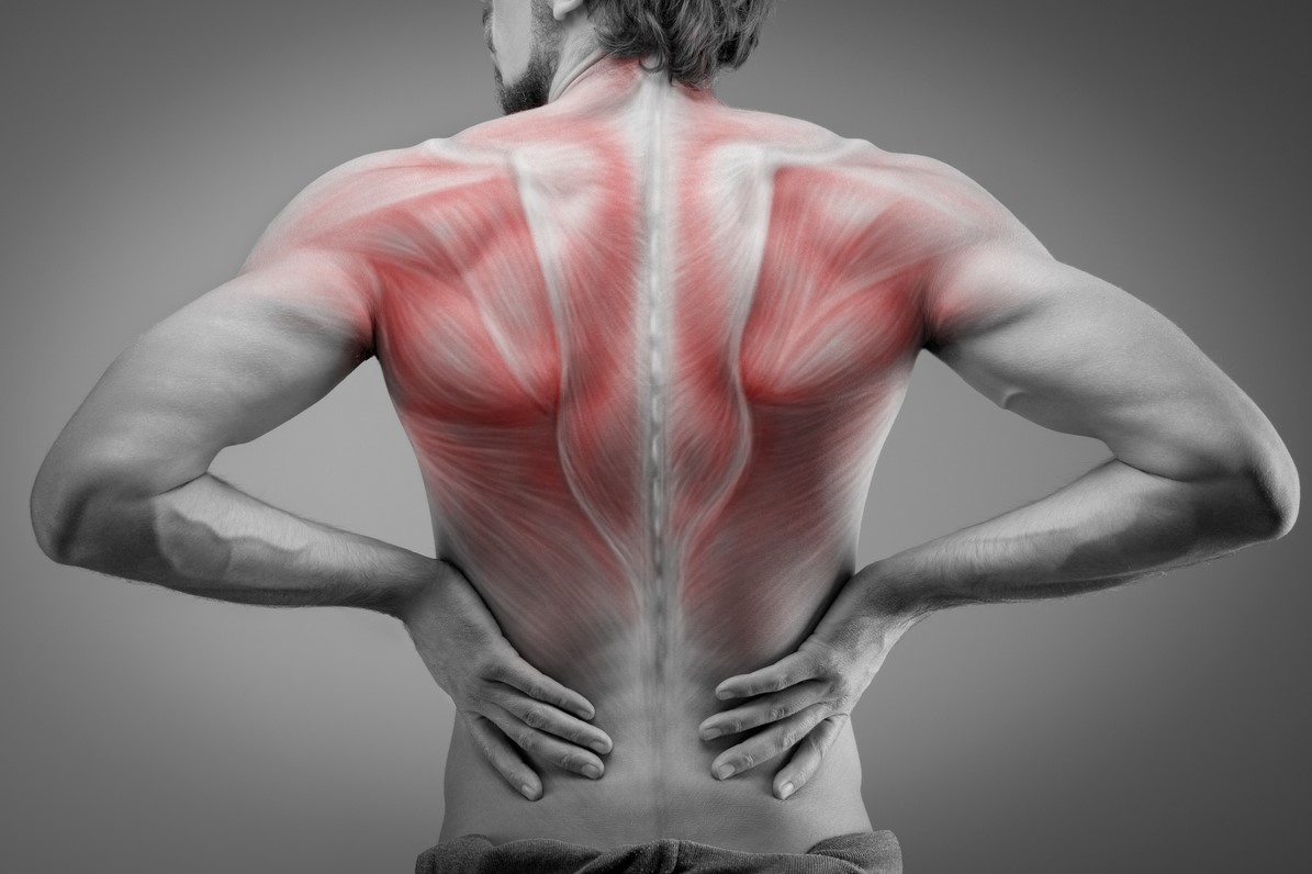 Massage and Fitness Training