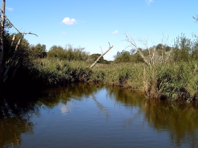 Alver Valley