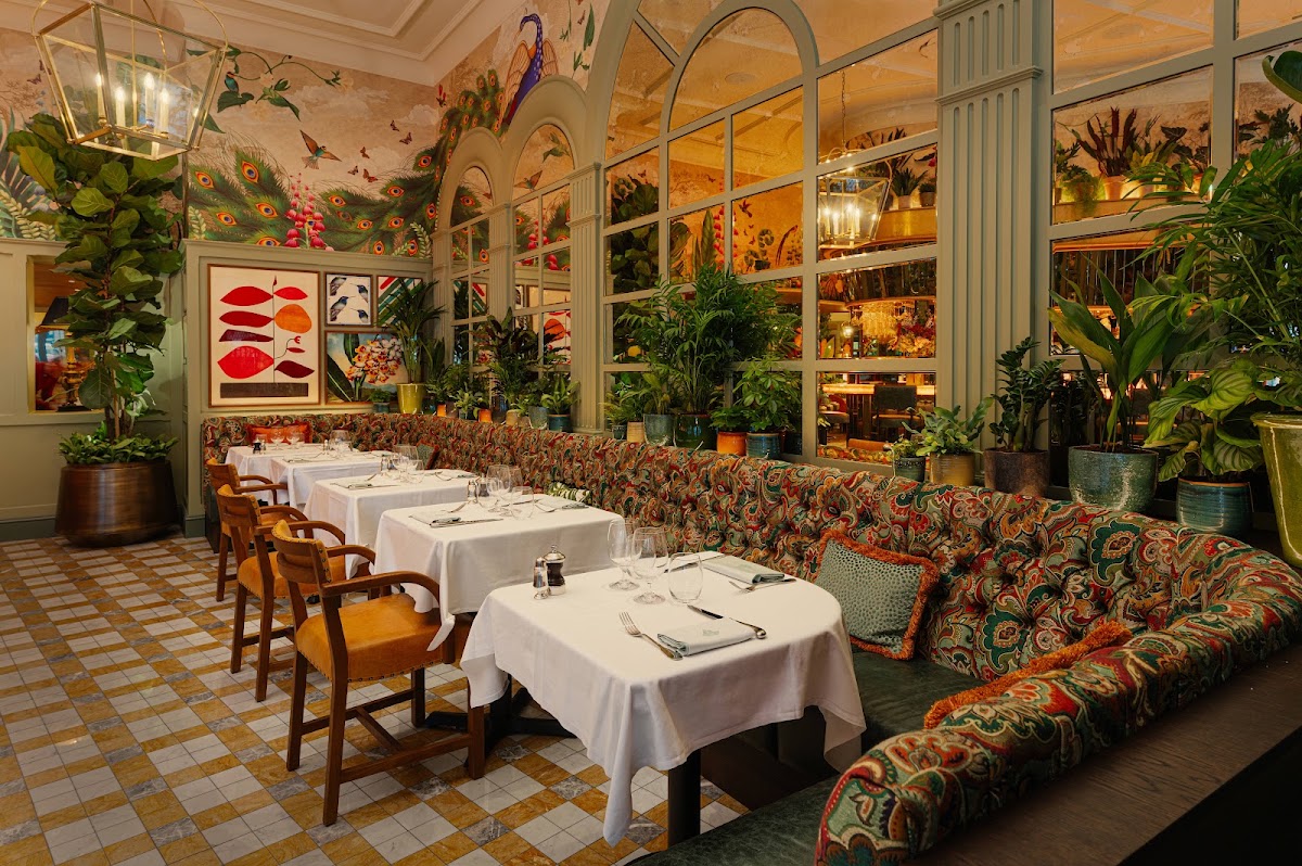 The Ivy Bournemouth Brasserie