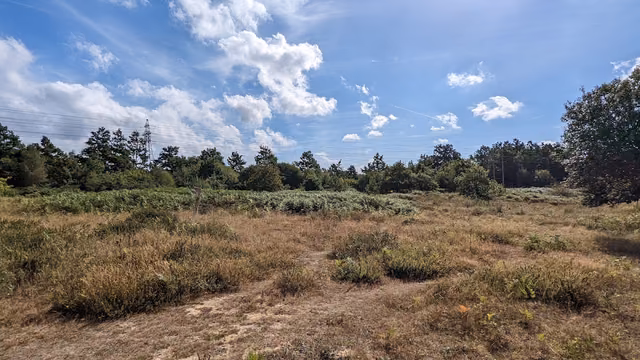 Hazelton Common Nature Reserve