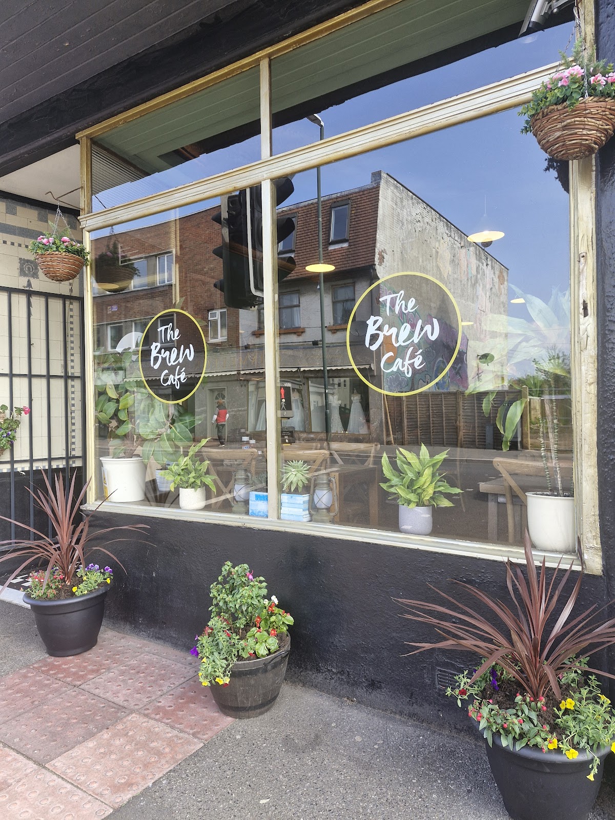 The Brew Cafe