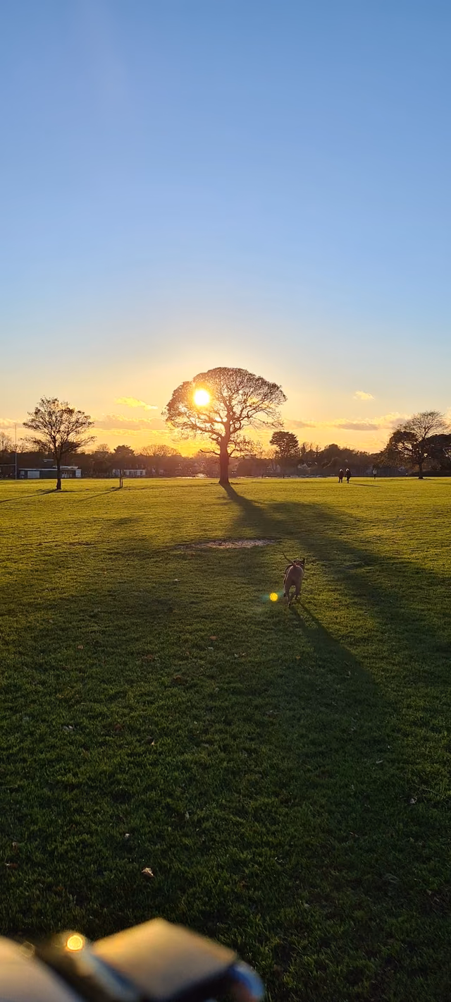 Buckingham Park & Playground