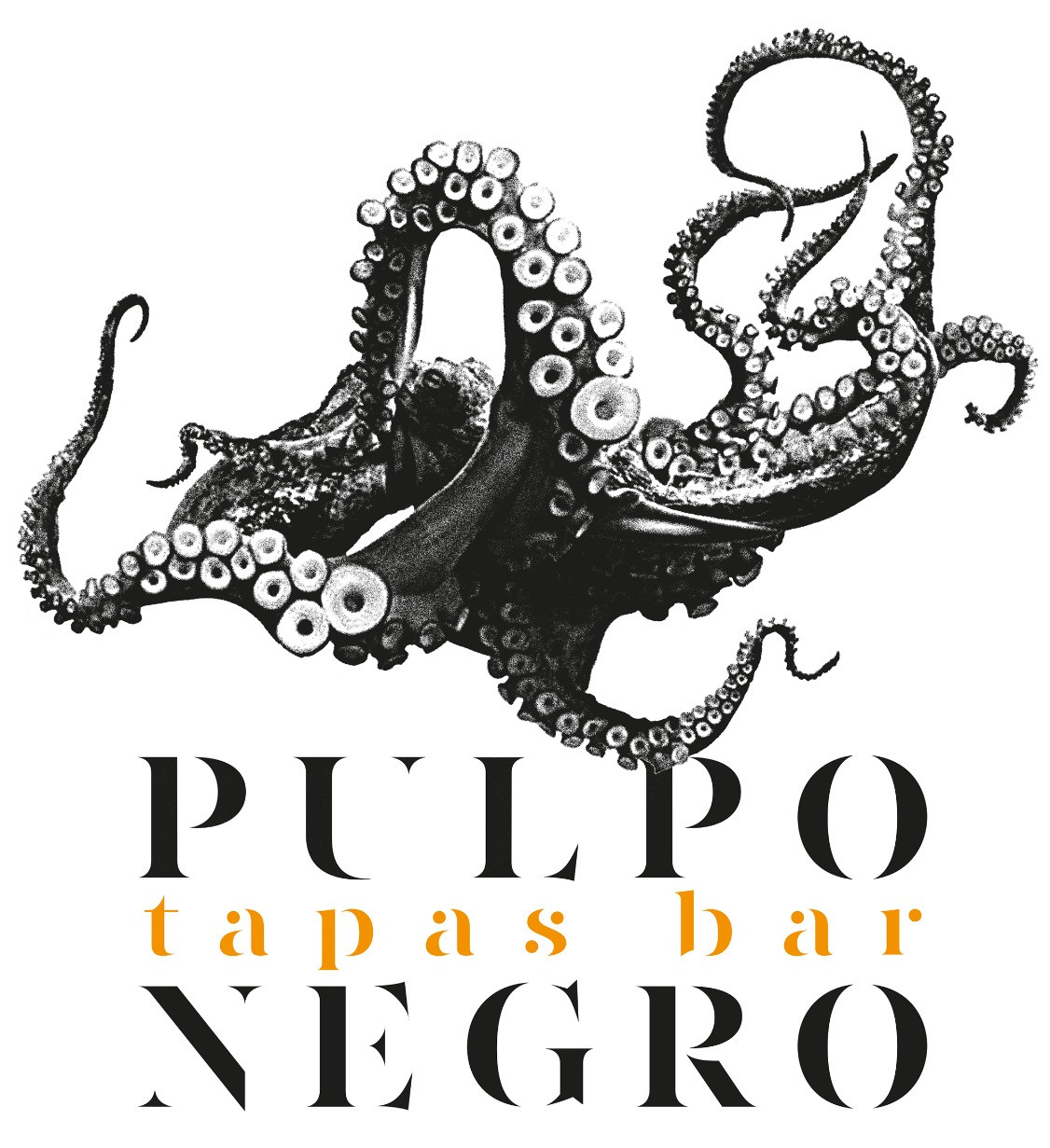 Pulpo Negro