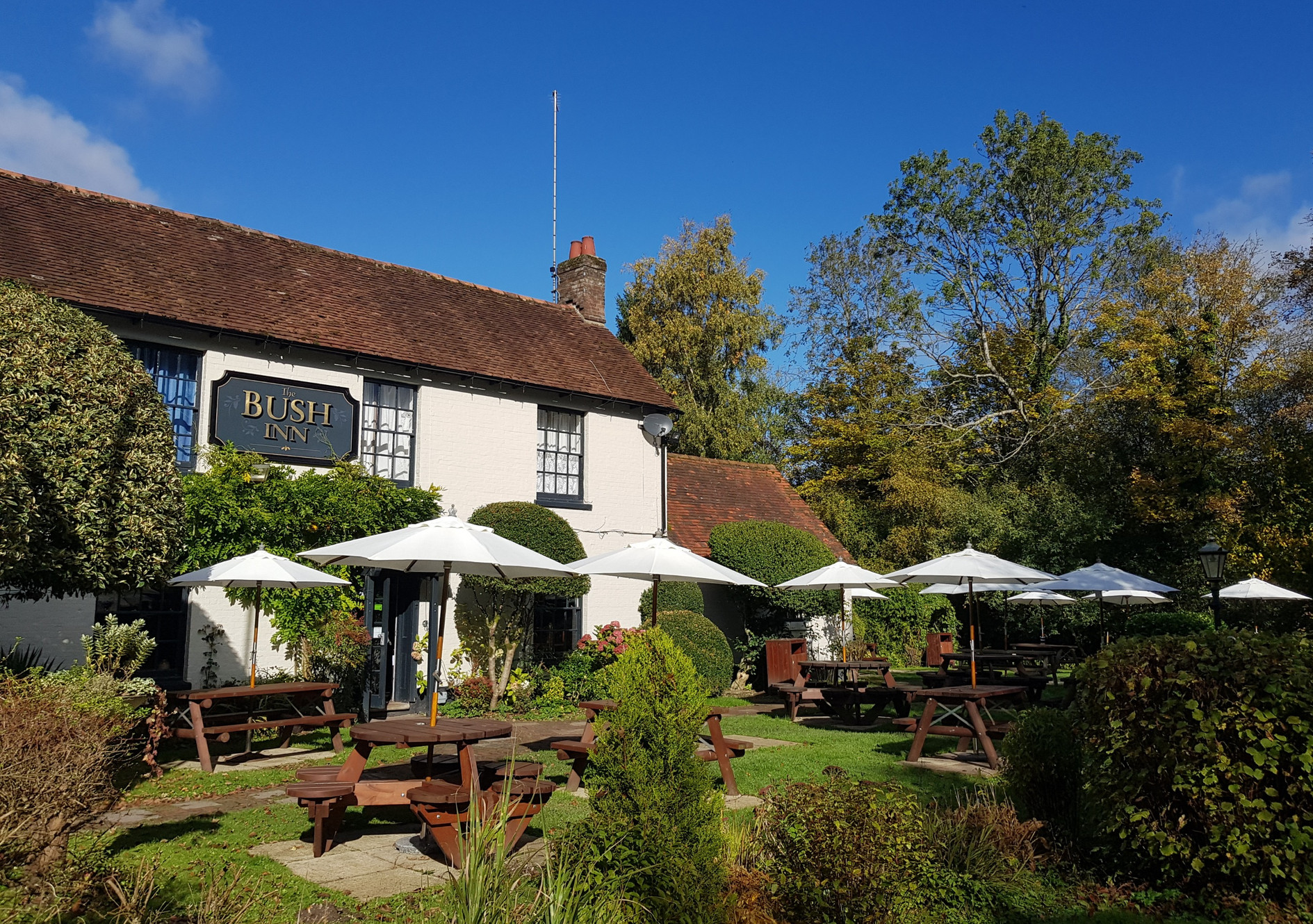 The Bush Inn
