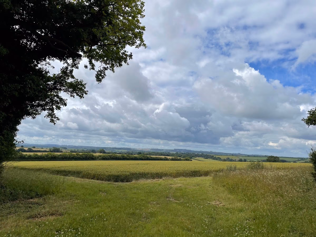 Abbotstone Down
