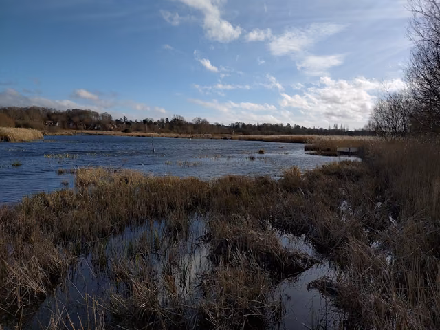 Fishlake Meadows Nature Reserve
