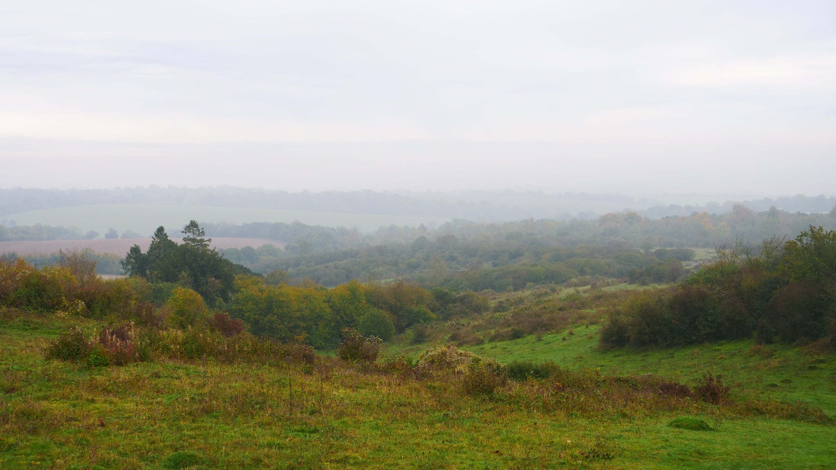 National Trust - Stockbridge Down