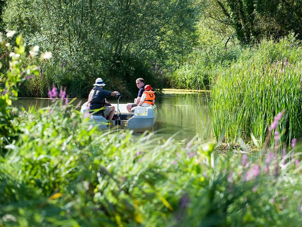 WWT Arundel