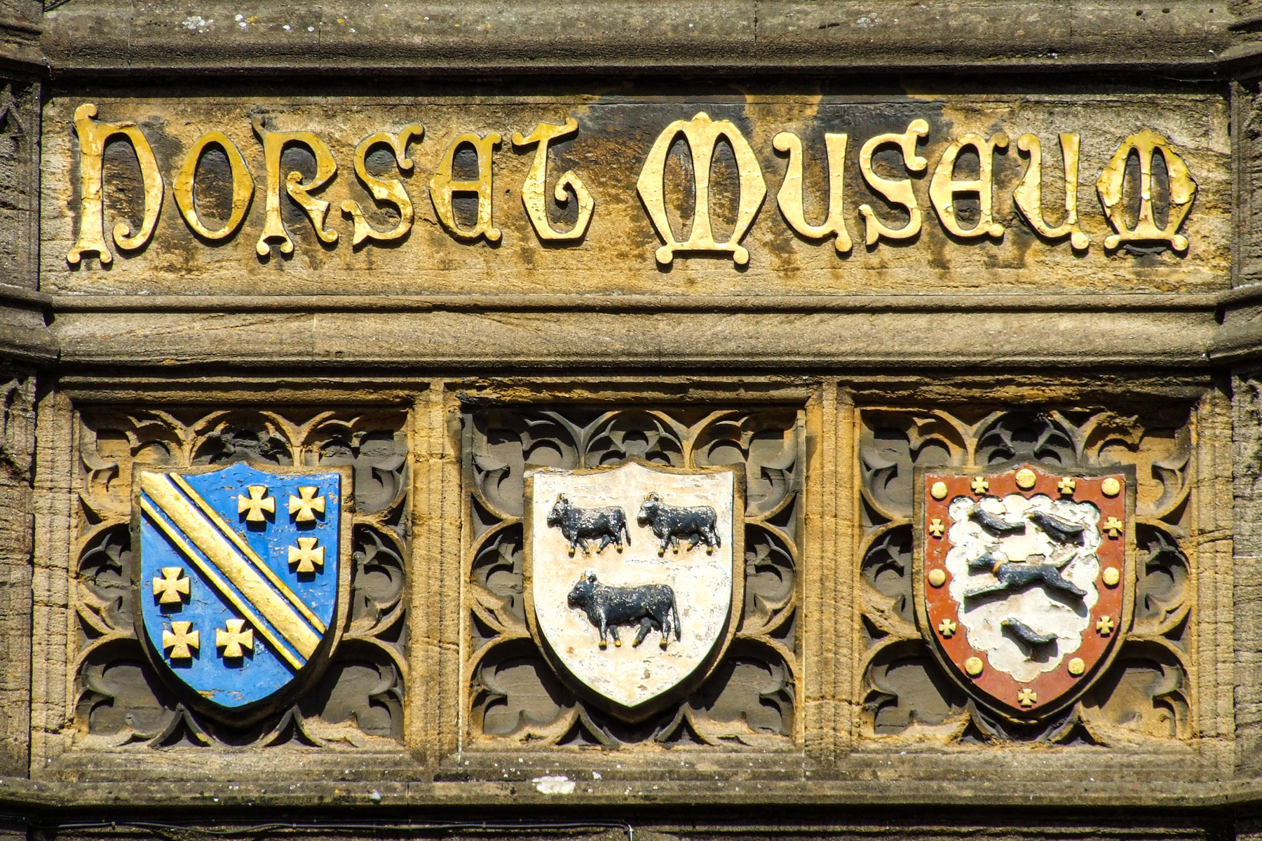 Dorset Museum & Art Gallery