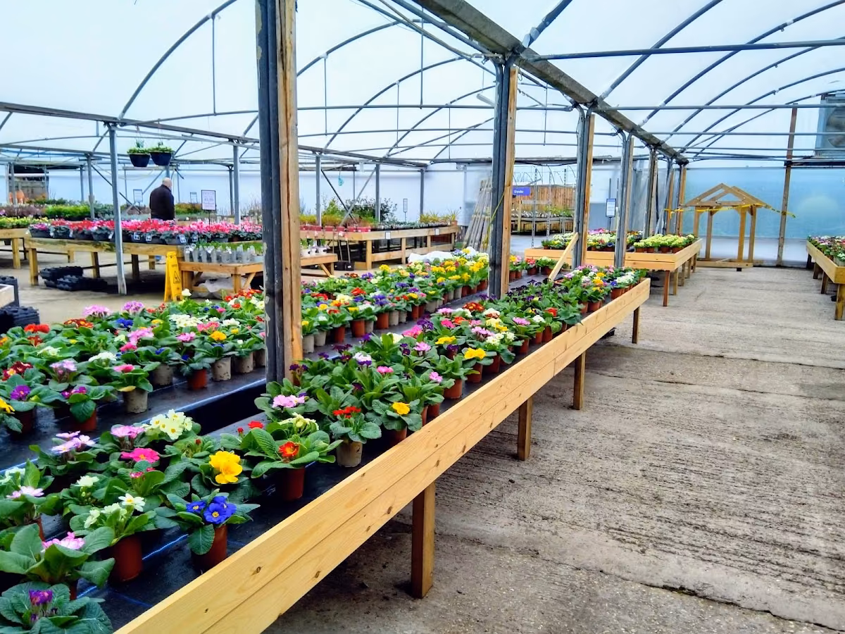 Baskets and Blooms Plant Centre and Blooms Cafe