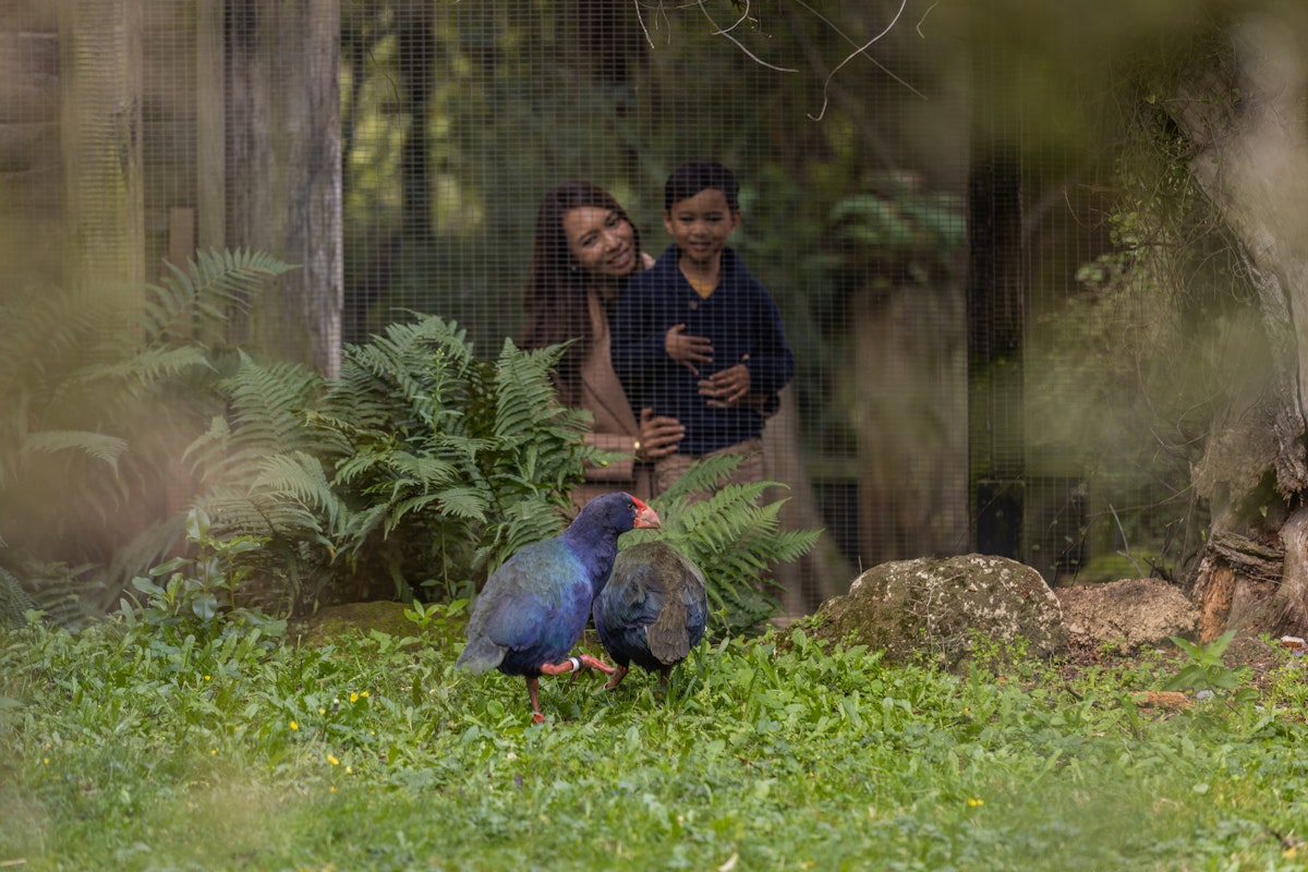 Willowbank Wildlife Reserve