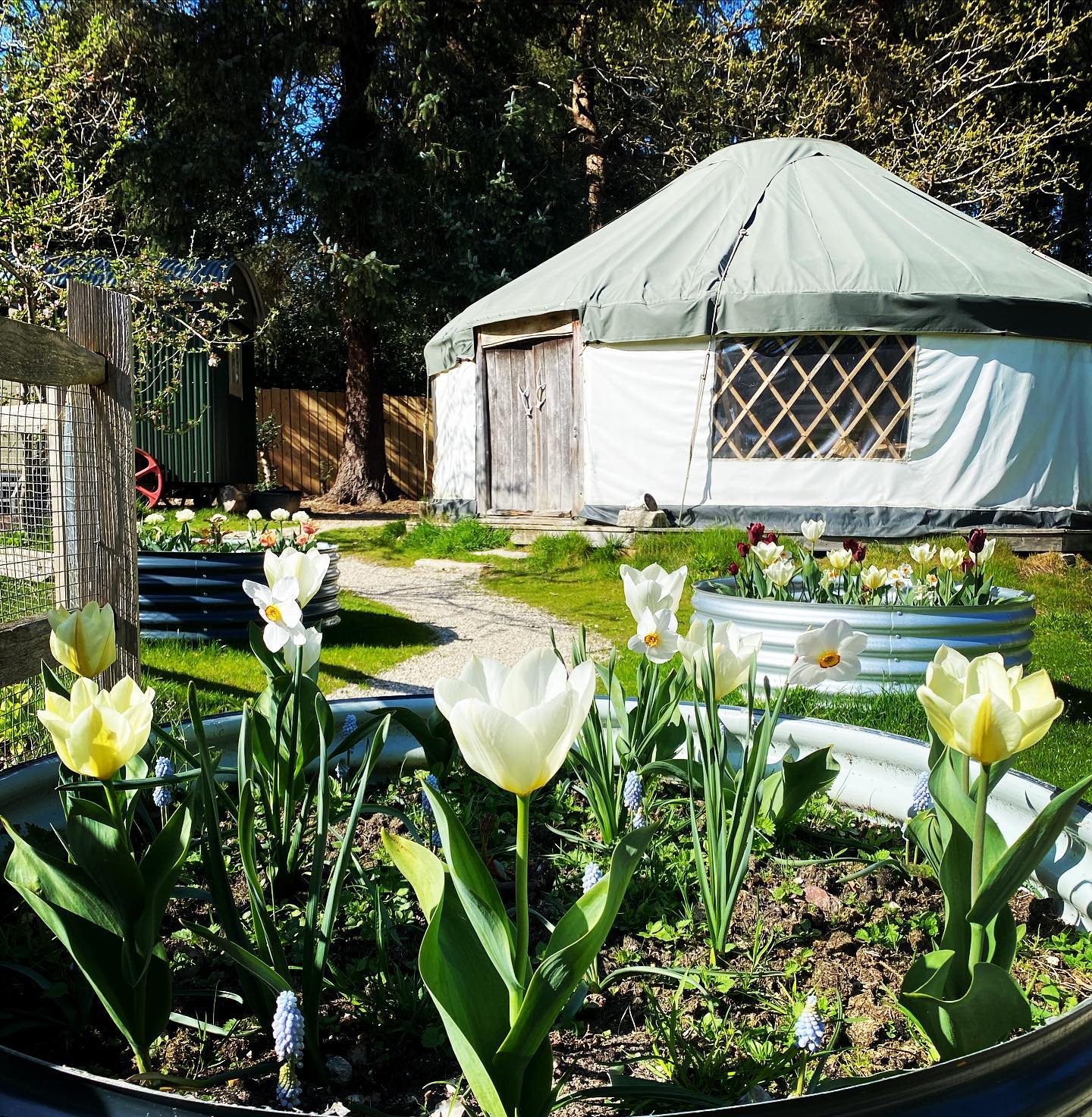 Mellulah Yoga Retreats