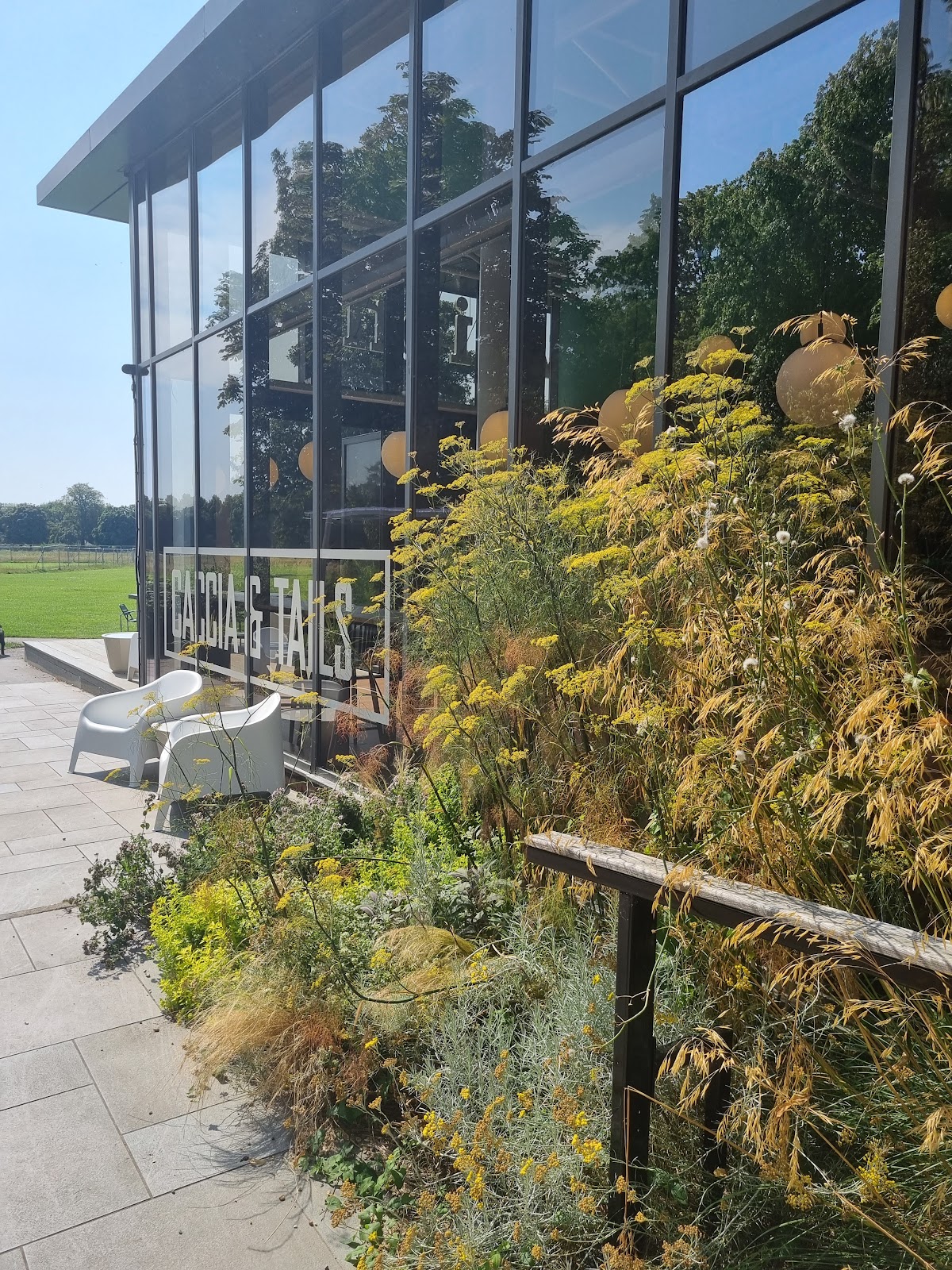 The Pavilion Chichester