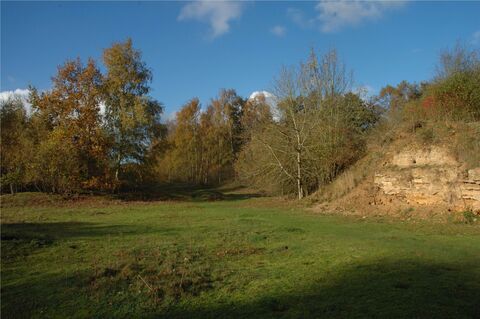 Dry Sandford Pit Nature Reserve