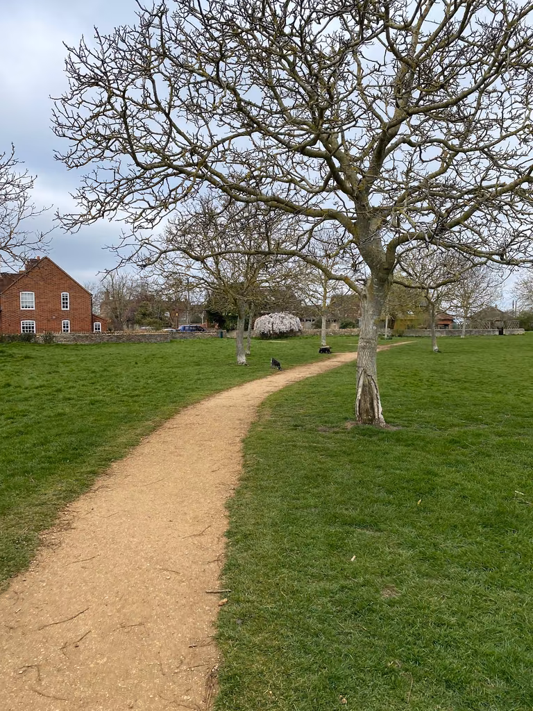 Millennium Green