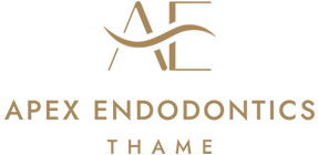 Apex Endodontics