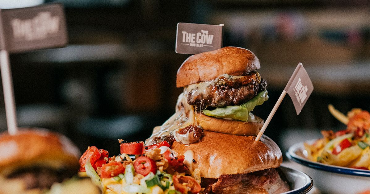 The Cow | Tapnell Farm